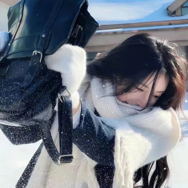 百胜铁骑军